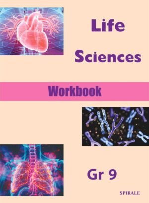 Workbook Life 9