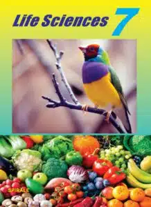 cover svt7 english 2023_page-0001